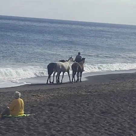Santorini Pleasure